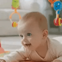 Tinysteps Comfort Safety Bundle